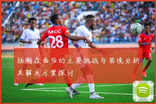 杨瀚森面临的主要挑战与困境分析及解决方案探讨